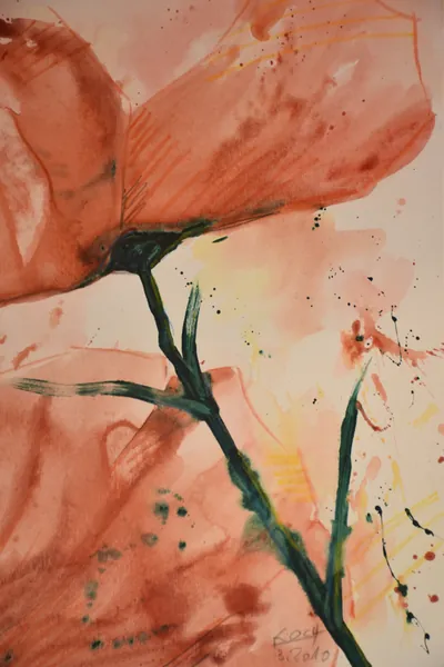 Mohn